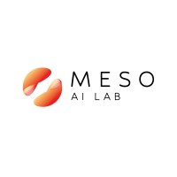 MESO Lab logo